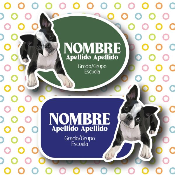 BOSTON TERRIER - Image 2