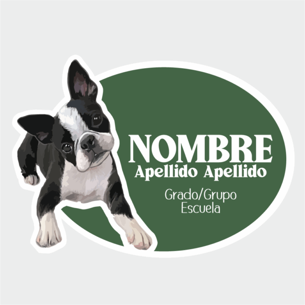 BOSTON TERRIER